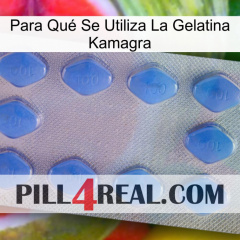 Para Qué Se Utiliza La Gelatina Kamagra 21